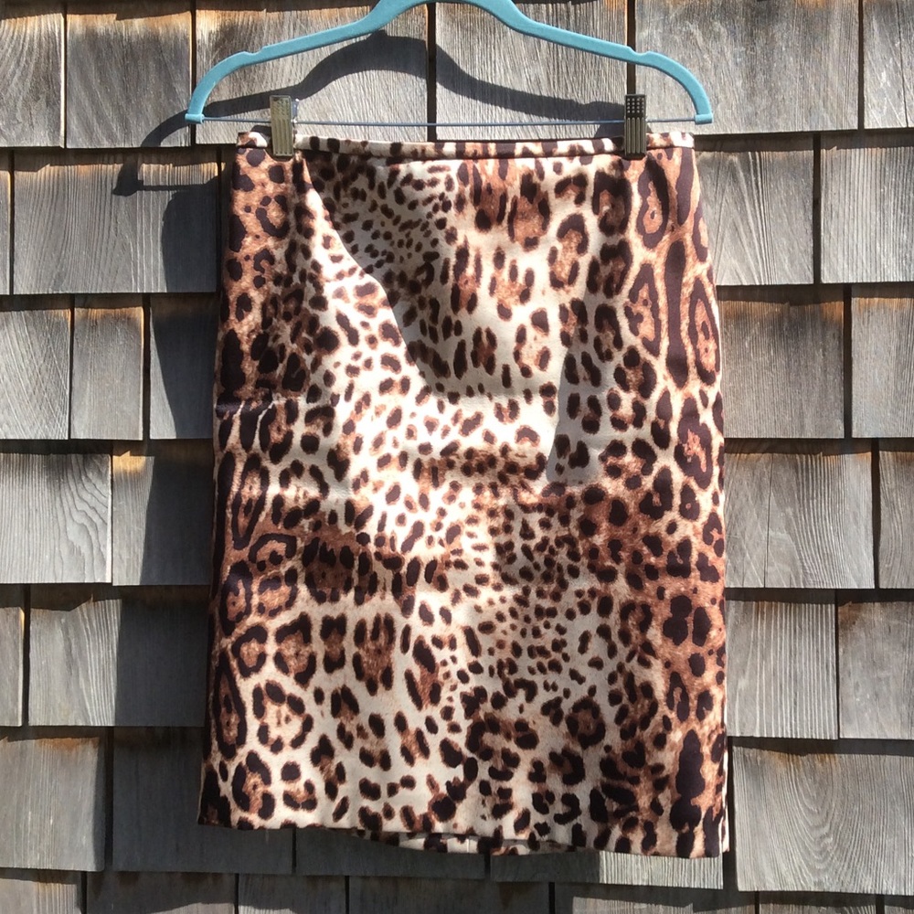 Hallhuber Skirt
